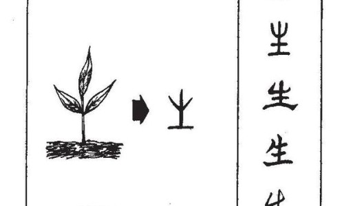 干马兰的吃法大全-干马兰的吃法网马兰晒干泡水喝作用与功效知识网站,分享马兰干怎么吃大全